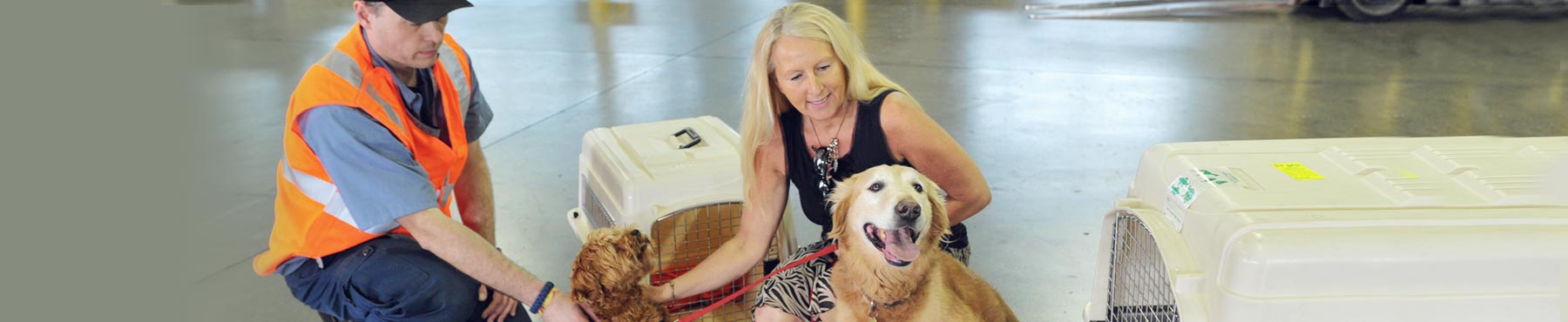 Travelling with your Pet